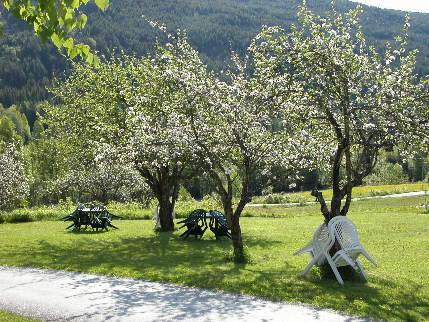 Smedsgarden Hotel Nesbyen Exterior foto